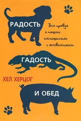 Хел Херцог - Радость, гадость и обед