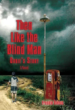 Freddie Owens Then Like the Blind Man: Orbie's Story обложка книги