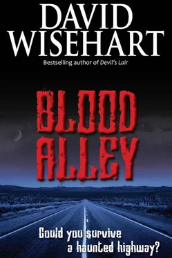 David Wisehart Blood Alley обложка книги