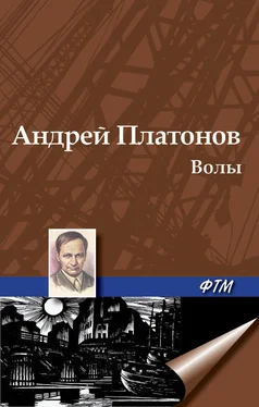 Андрей Платонов Волы обложка книги