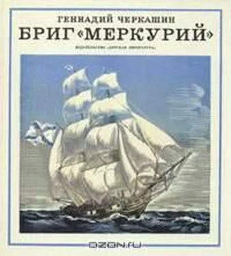 Геннадий Черкашин Бриг «Меркурий» обложка книги