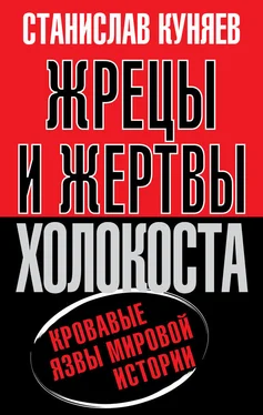 Станислав Куняев Жрецы и жертвы холокоста. История вопроса обложка книги