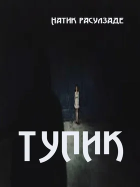 Натиг Расулзаде Тупик обложка книги