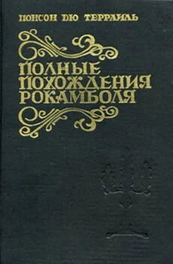 Понсон дю Террайль Эпилог. Месть Василисы обложка книги