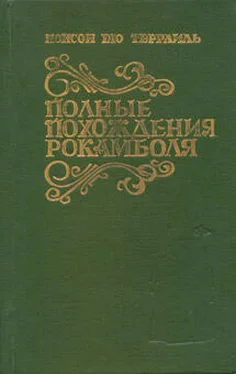 Понсон дю Террайль Таинственное наследство обложка книги