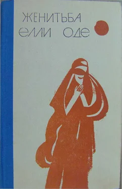 Нурмурад Сарыханов Женитьба Элли Оде [сборник рассказов]