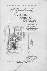 Владимир Выговский - Огонь юного сердца
