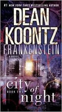 Dean Koontz City of Night обложка книги