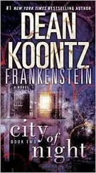 Dean Koontz - City of Night