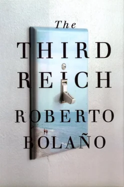 Roberto Bolaño The Third Reich обложка книги