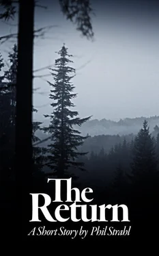 Phil Strahl The Return обложка книги
