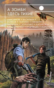 Владимир Венгловский А зомби здесь тихие (сборник) обложка книги