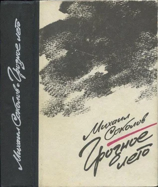 Михаил Соколов Грозное лето обложка книги