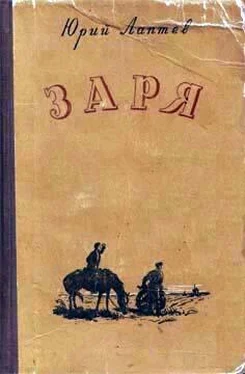 Юрий Лаптев Заря обложка книги