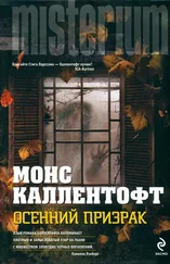 Монс Каллентофт - Осенний призрак