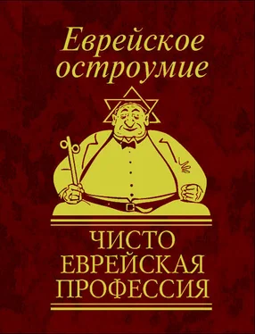 Юлия Белочкина Еврейское остроумие. Чисто еврейская профессия обложка книги