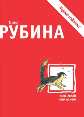 Дина Рубина Не оставляй меня одного (сборник) обложка книги