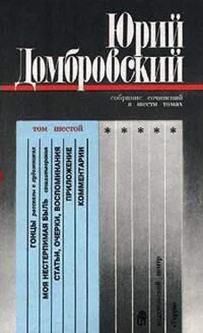 Юрий Домбровский Моя нестерпимая быль обложка книги