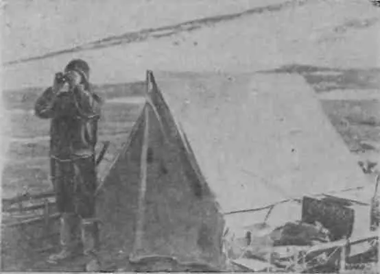 Павлов ищет гусей 1932 г Гуси же особенно белые всегда летят с востока - фото 16