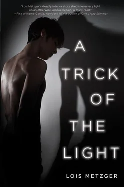 Lois Metzger A Trick of the Light обложка книги