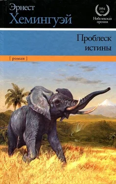 Эрнест Хемингуэй Проблеск истины обложка книги