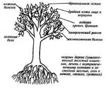 Несмотря на то что этот рисунок может показаться очень упрощённым это - фото 22