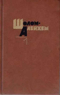 Шолом-Алейхем Шимеле обложка книги