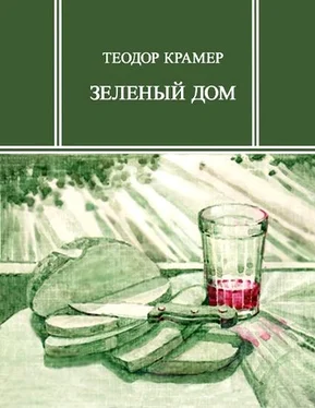 Теодор Крамер Зеленый дом обложка книги