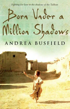 Andrea Busfield Born Under a Million Shadows обложка книги