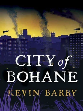 Kevin Barry City of Bohane обложка книги