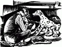 The largest pup of all had a black patch all over its ear and one side of its - фото 7