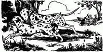 Nine weeks after her marriage Perdita had eight puppies The farmer did not - фото 9