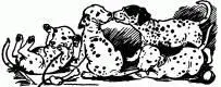 Perdita now had her bed in the dresser cupboard where there would not be too - фото 11