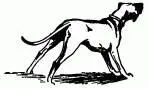 To the Rescue As they walked the Dearlys home Pongo said to Missis Did you - фото 16