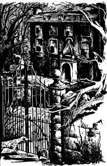Well may they call it a Folly said the cat Missis did not know what the - фото 27