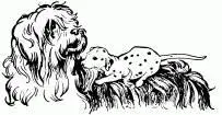You couldnt walk to London on your hind legs said Pongo even if we had a - фото 35
