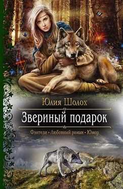 Юлия Шолох Звериный подарок обложка книги