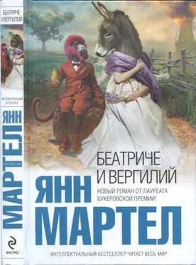 Янн Мартел Беатриче и Вергилий обложка книги