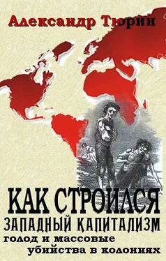 Александр Тюрин Как строился западный капитализм: голод и массовые убийства в колониях обложка книги