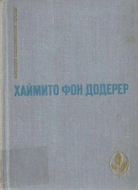 Хаймито Додерер Слуньские водопады обложка книги