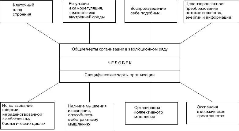 Но готов ли современный человек к этому интеллектуальнотехнократическому - фото 1