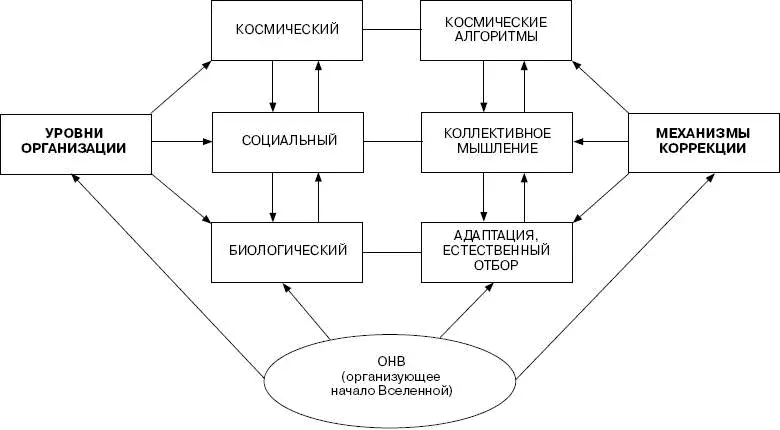 По типу питания все виды растений и животных можно подразделить на гетеротрофов - фото 2