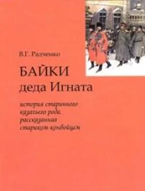 Виталий Радченко Байки деда Игната обложка книги