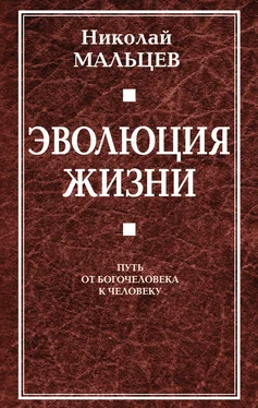 Николай Мальцев Эволюция жизни. Путь от Богочеловека к человеку обложка книги