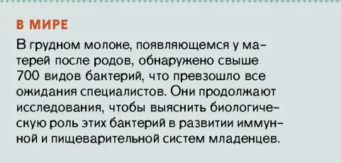 Предосудителен ли секс до вступления в брак ЧТО ГОВОРЯТ ЛЮДИ В некоторых ку - фото 5