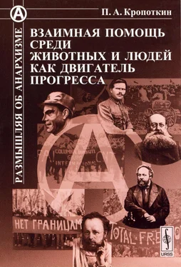 Петр Кропоткин Взаимная помощь среди животных и людей как двигатель прогресса обложка книги