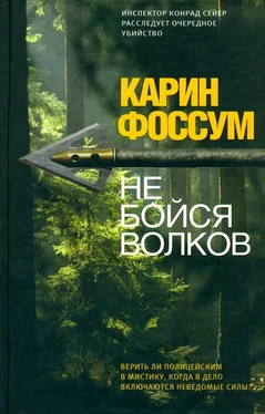 Карин Фоссум Не бойся волков обложка книги