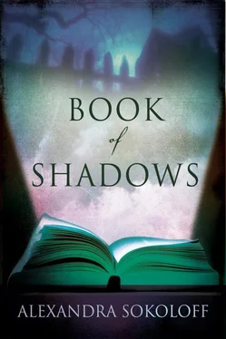 Alexandra Sokoloff Book of Shadows обложка книги