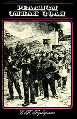 Елизавета Кучборская - Реализм Эмиля Золя - «Ругон-Маккары» и проблемы реалистического искусства XIX в. во Франции