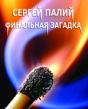 Сергей Палий Финальная загадка обложка книги